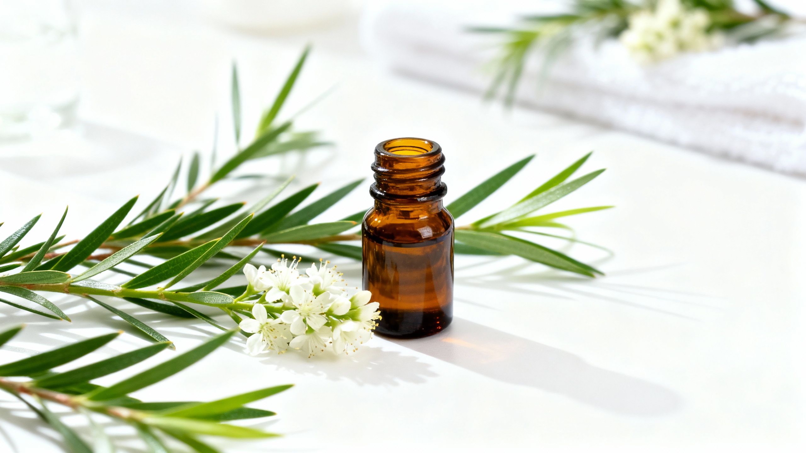 Featured image for Understanding The Effectiveness of Tea Tree Oil in Treating Nail Fungus